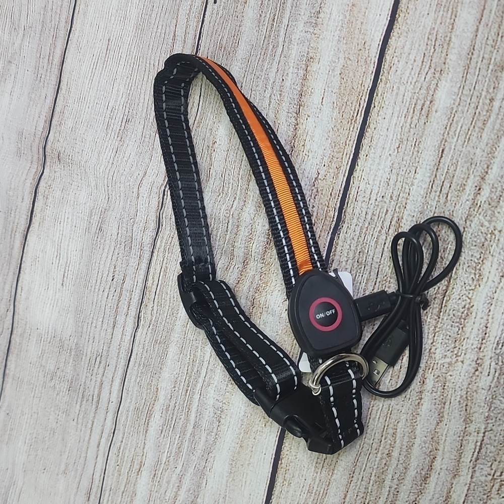Light up Dog Collar Orange